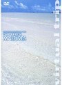 virtual trip THE BEACH MALDIVES
