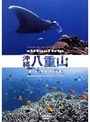 virtual trip 沖縄八重山 Diving View