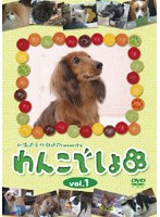 北海道文化放送Presents『わんこでしょ』DVD vol.1 のパッケージ