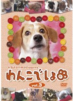 北海道文化放送Presents『わんこでしょ』DVD vol.3 のパッケージ