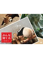 ​動物／人間のポスター