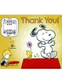 SNOOPY グリーティングカードDVDシリーズ THANK YOU〜ありがとう〜