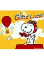 SNOOPY グリーティングカードDVDシリーズ GOOD LUCK〜頑張って!〜