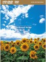 virtual trip 北海道・夏 HD SPECIAL EDITION （HD DVD+DVDツインフォーマット版） | teriffic.net