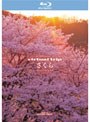 THE 5.1CH SURROUND virtual trip さくら nostalgia (ブルーレイディスク)