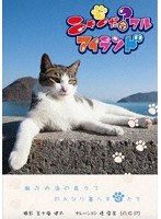 ニャンだ？フルアイランド