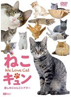 ねこキュン 癒しのにゃんこシアター We Love Cat