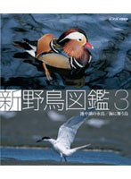 新 野鳥図鑑 第3集 池や湖の水鳥/海に舞う鳥 （ブルーレイディスク）