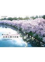 静かに咲く 弘前公園の名桜 （ブルーレイディスク）