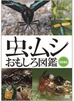 虫・ムシ おもしろ図鑑 セット