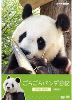 ごろごろパンダ日記 DVD BOX（通常版）