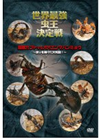 世界最強虫王決定戦 国産カブトVSオオエンマハンミョウ 〜誇りを賭けた大死闘！〜 のパッケージ
