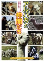 アルパカと仲間たち