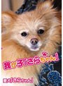 我が子「さらちゃん」