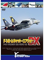 F-14トムキャット・エアショーDX