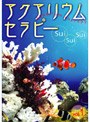 アクアリウム・セラピー（sui・sui・sui）VOL.1 | teriffic.net