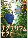 アクアリウム・セラピー（sui・sui・sui）VOL.3 | teriffic.net