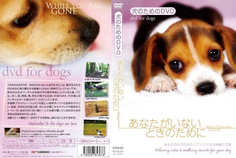 Dmm Com 犬のためのdvd あなたがいないときのために あなたの犬のためのリラックスする映像と音楽 Dvd通販