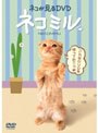 ネコが見るDVD ネコミル
