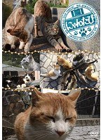 にゃんたび