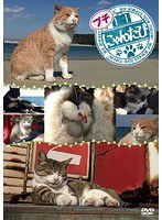 プチにゃんたび