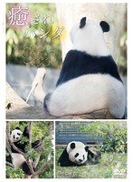 癒されパンダ〜リーリーとシンシン〜