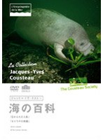ジャック=イヴ・クストー 海の百科 4 忘れられた人魚/セイウチの笑顔