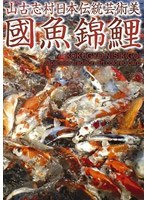 國魚錦鯉 のパッケージ
