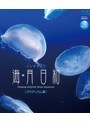 海月日和 アクアリウム編 （ブルーレイディスク）