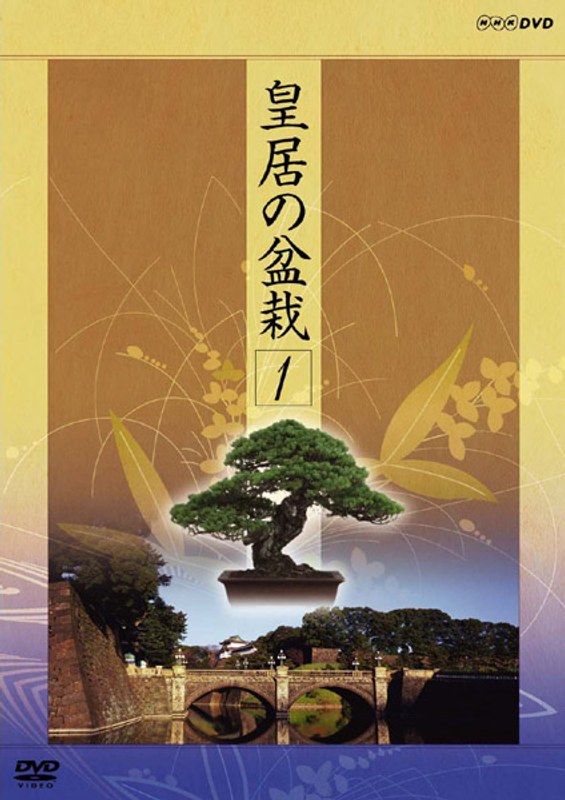 NHK DVD 皇居の盆栽 BOX