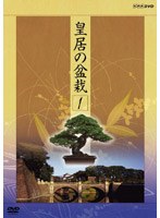 NHK DVD 皇居の盆栽 BOX