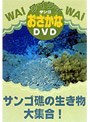ワイワイおさかなDVD サンゴ礁の生き物大集合！
