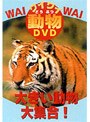ワイワイ動物DVD 大きい動物大集合!