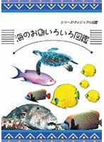 シリーズ・ヴィジアル図鑑 1 海のお魚いろいろ図鑑