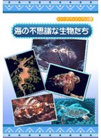 シリーズ・ヴィジアル図鑑 3 海の不思議な生物たち