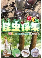 ぼくの昆虫採集