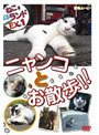 ねこ（猫）ざ ランド エクストラ（EX） 1 ニャンコとお散歩！！ | teriffic.net