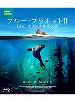 ブルー・プラネットII BBCオリジナル完全版（ブルーレイディスク）
