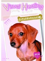 Visual Healing 4 ミニチュアダックスフンド（茶）
