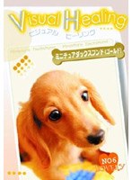 Visual Healing 8 ミニチュアダックスフンド（ゴールド）