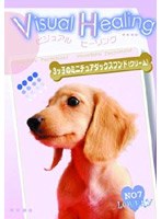Visual Healing 11 3ツ子のミニチュアダックスフンド（クリーム）
