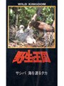 野生の王国 サシバ 海を渡るタカ | teriffic.net