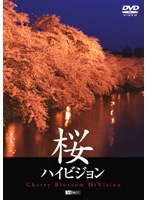 桜ハイビジョン-Cherry Blossom HiVision-