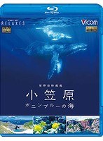 【クリックで詳細表示】ビコム Relaxes(リラクシーズ)BD 世界自然遺産 小笠原 ～ボニンブルーの海～ (ブルーレイディスク)