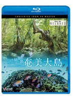 奄美大島 4K撮影作品 〜いのち紡ぐ島〜 （ブルーレイディスク）