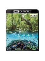 奄美大島〜いのち紡ぐ島〜 （4K ULTRA HD ブルーレイディスク）