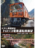 紅葉の黒部峡谷トロッコ電車運転席展望 宇奈月 ⇔ 欅平（往復） 4K撮影作品
