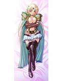 巨乳ファンタジーシリーズ エリュシアの抱き枕カバー 画像1