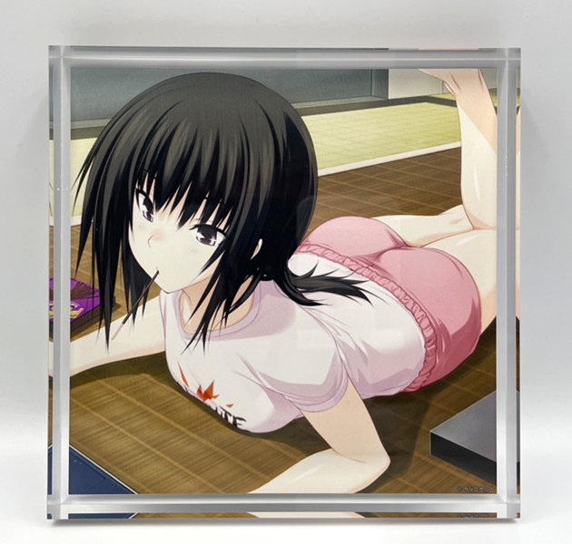 『真剣で私に恋しなさい！』アクリルブロックX 画像1