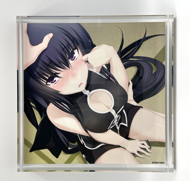 『真剣で私に恋しなさい!』アクリルブロックZ 画像1